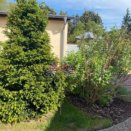Strandkojen Trassenheide Bagian luar foto